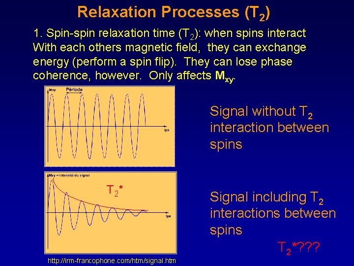 Relaxation Processes (T 2) 1. Spin-spin relaxation time (T 2): when spins interact With