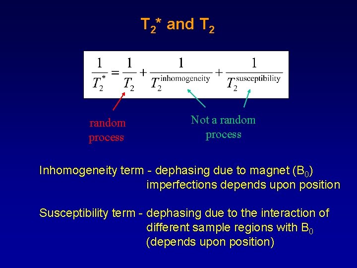 T 2* and T 2 random process Not a random process Inhomogeneity term -