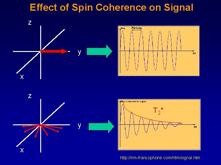 Effect of Spin Coherence on Signal z y x z T 2* y x