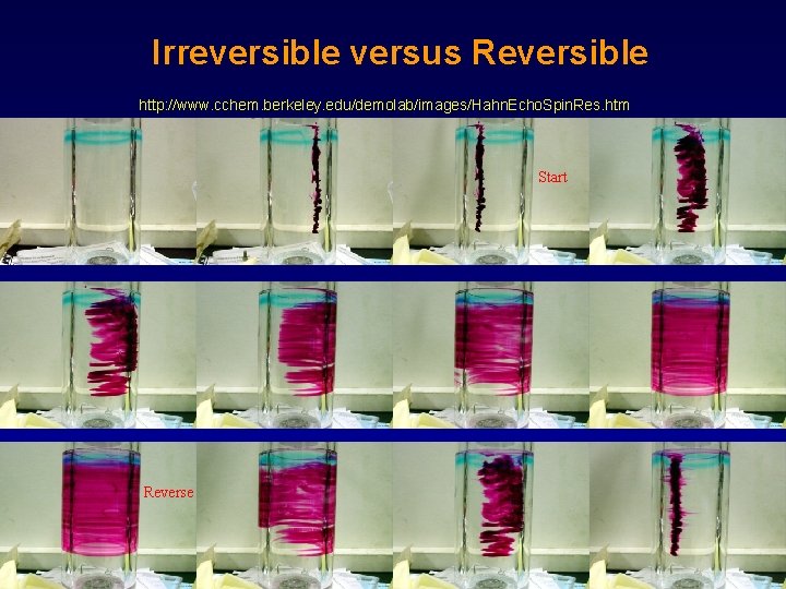 Irreversible versus Reversible http: //www. cchem. berkeley. edu/demolab/images/Hahn. Echo. Spin. Res. htm Start Reverse Irreversible versus Reversible http: //www. cchem. berkeley. edu/demolab/images/Hahn. Echo. Spin. Res. htm Start Reverse