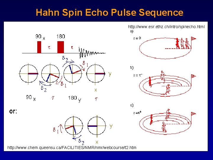 Hahn Spin Echo Pulse Sequence http: //www. esr. ethz. ch/intro/spinecho. html http: //www. chem.