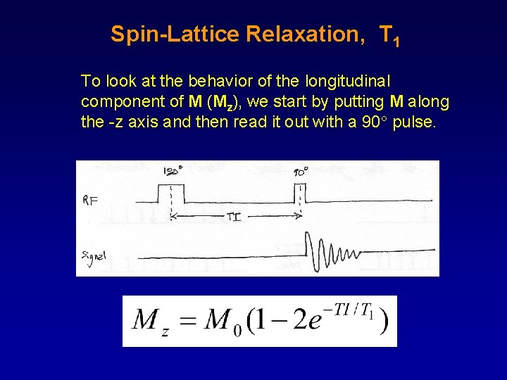 Spin-Lattice Relaxation, T 1 To look at the behavior of the longitudinal component of