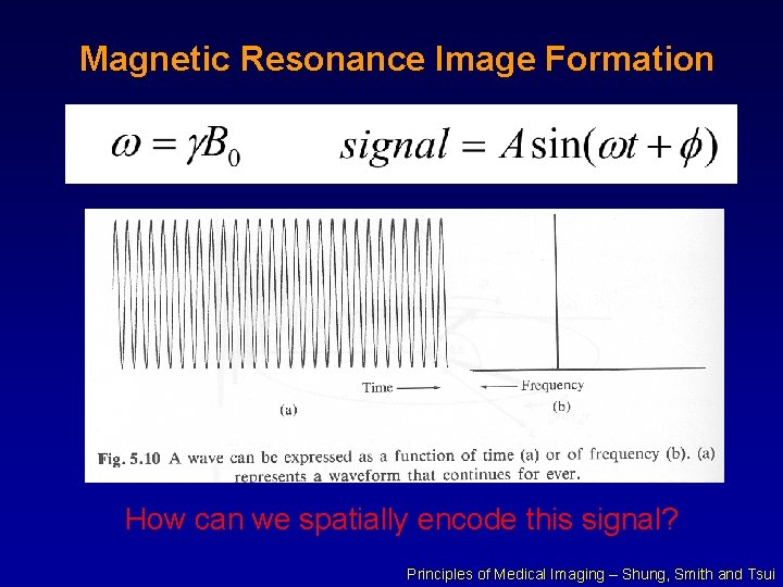 Magnetic Resonance Image Formation How can we spatially encode this signal? Principles of Medical