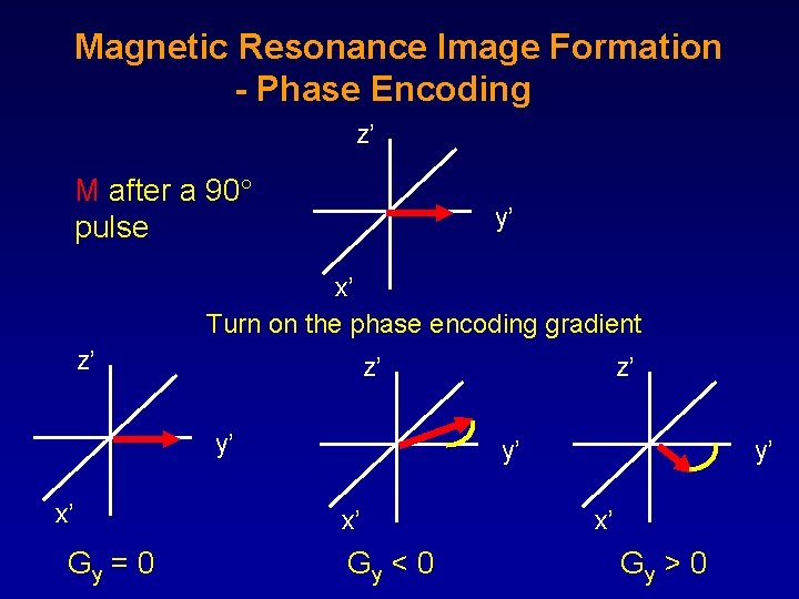 Magnetic Resonance Image Formation - Phase Encoding z’ M after a 90 pulse y’