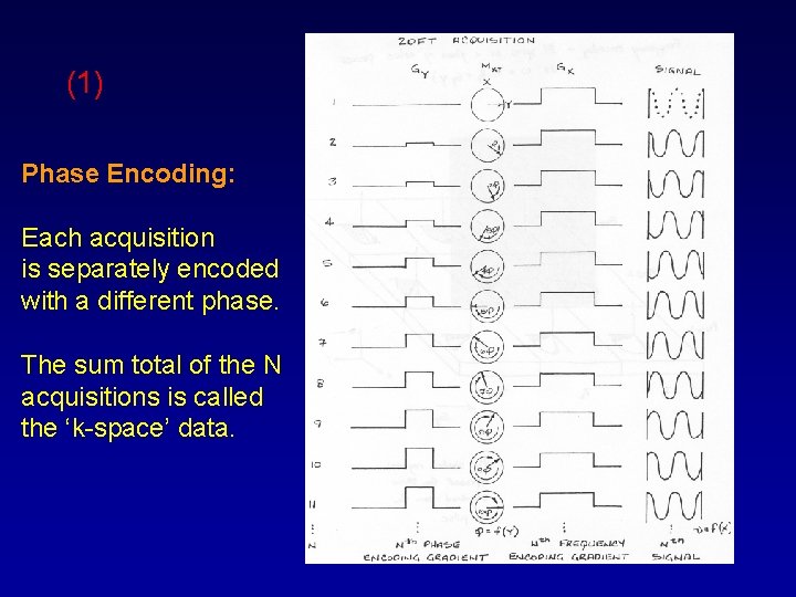(1) Phase Encoding: Each acquisition is separately encoded with a different phase. The sum