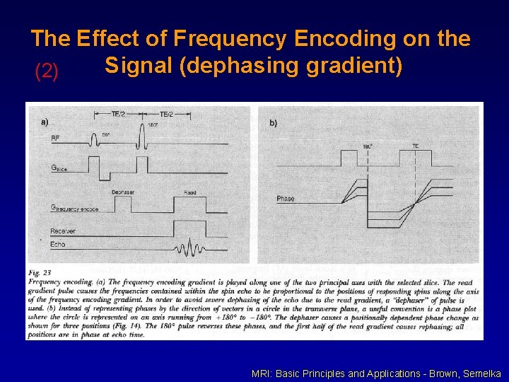 The Effect of Frequency Encoding on the Signal (dephasing gradient) (2) MRI: Basic Principles