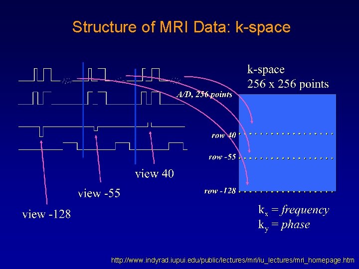 Structure of MRI Data: k-space http: //www. indyrad. iupui. edu/public/lectures/mri/iu_lectures/mri_homepage. htm Structure of MRI Data: k-space http: //www. indyrad. iupui. edu/public/lectures/mri/iu_lectures/mri_homepage. htm