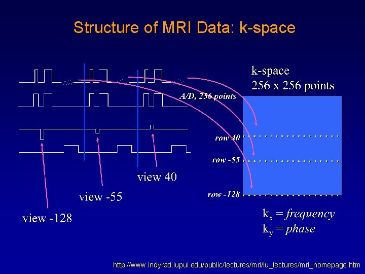 Structure of MRI Data: k-space http: //www. indyrad. iupui. edu/public/lectures/mri/iu_lectures/mri_homepage. htm 