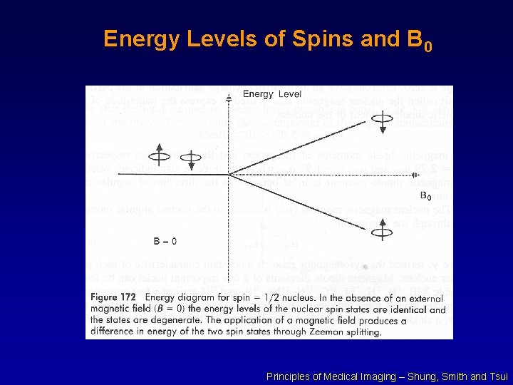 Energy Levels of Spins and B 0 Principles of Medical Imaging – Shung, Smith