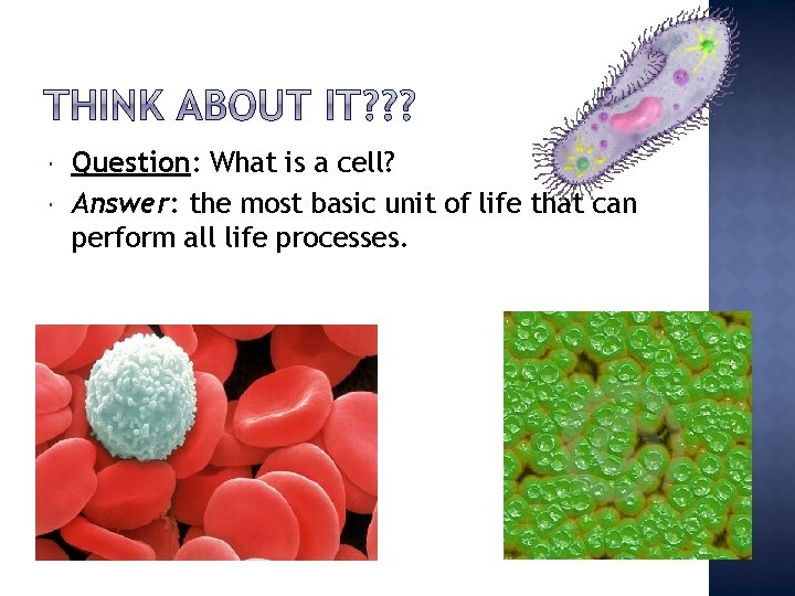  Question: What is a cell? Answer: the most basic unit of life that