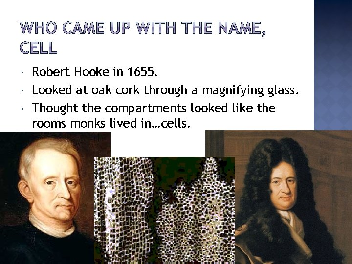  Robert Hooke in 1655. Looked at oak cork through a magnifying glass. Thought