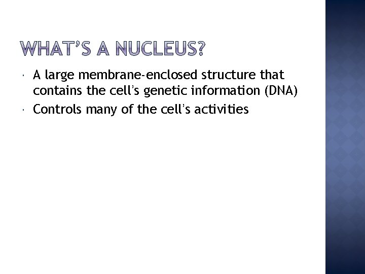  A large membrane-enclosed structure that contains the cell’s genetic information (DNA) Controls many
