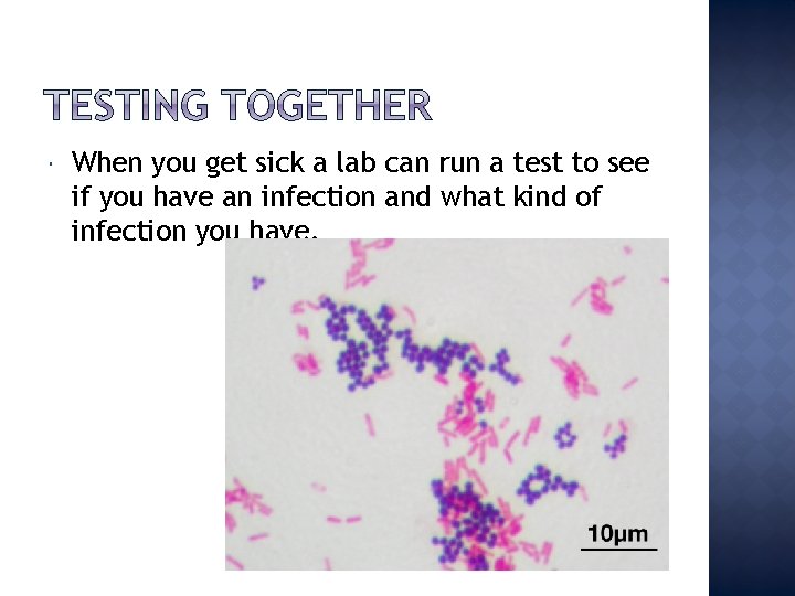  When you get sick a lab can run a test to see if