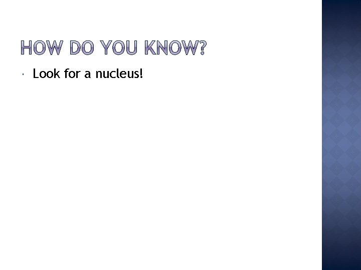  Look for a nucleus! 