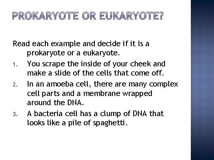 Read each example and decide if it is a prokaryote or a eukaryote. 1.