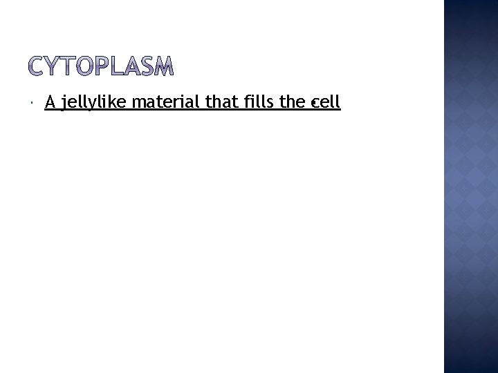  A jellylike material that fills the cell 