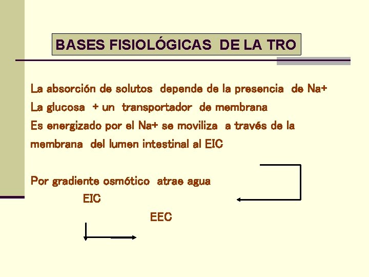 BASES FISIOLÓGICAS DE LA TRO La absorción de solutos depende de la presencia de