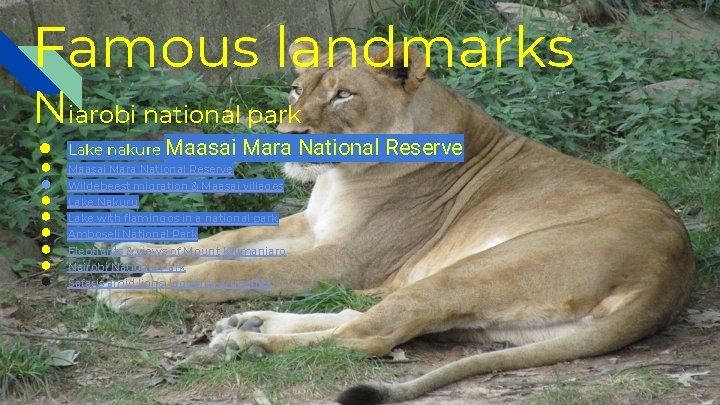 Famous landmarks Niarobi national park ● ● ● ● ● Lake nakure Maasai Mara