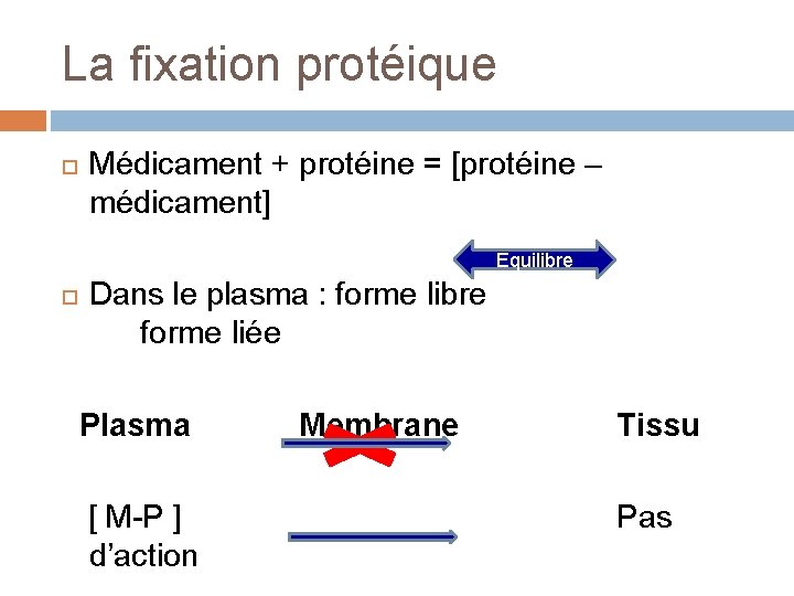 La fixation protéique Médicament + protéine = [protéine – médicament] Equilibre Dans le plasma