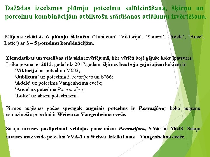 Dažādas izcelsmes plūmju potcelmu salīdzināšana, šķirņu un potcelmu kombinācijām atbilstošu stādīšanas attālumu izvērtēšana. Pētījums