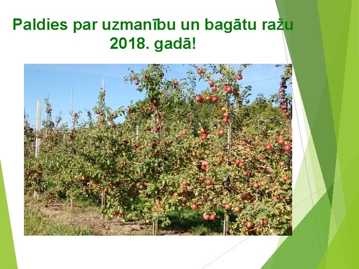 Paldies par uzmanību un bagātu ražu 2018. gadā! 