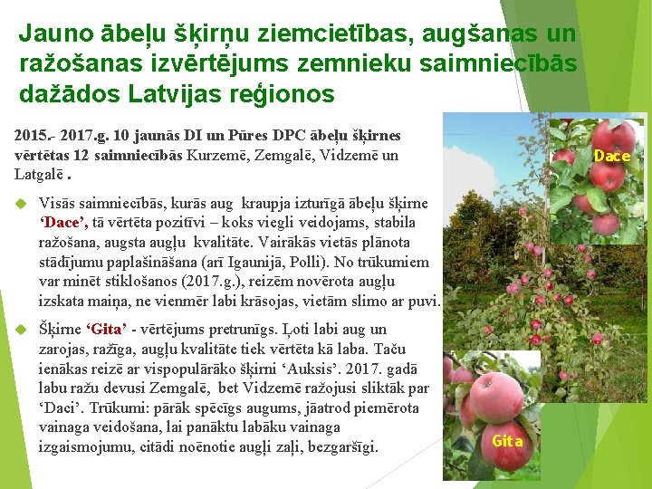 Jauno ābeļu šķirņu ziemcietības, augšanas un ražošanas izvērtējums zemnieku saimniecībās dažādos Latvijas reģionos 2015.