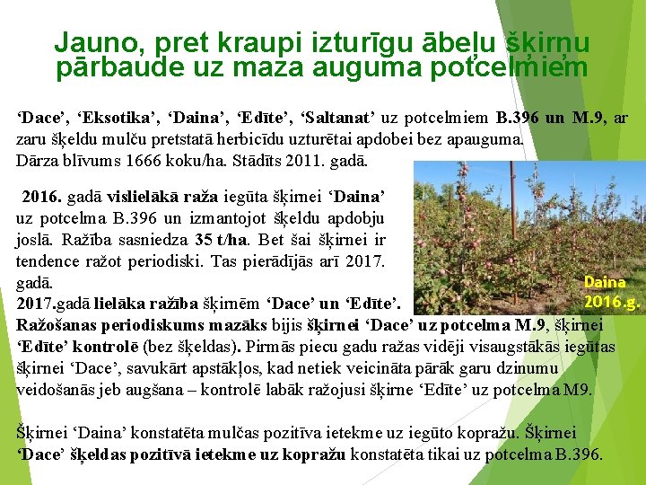 Jauno, pret kraupi izturīgu ābeļu šķirņu pārbaude uz maza auguma potcelmiem ‘Dace’, ‘Eksotika’, ‘Daina’,