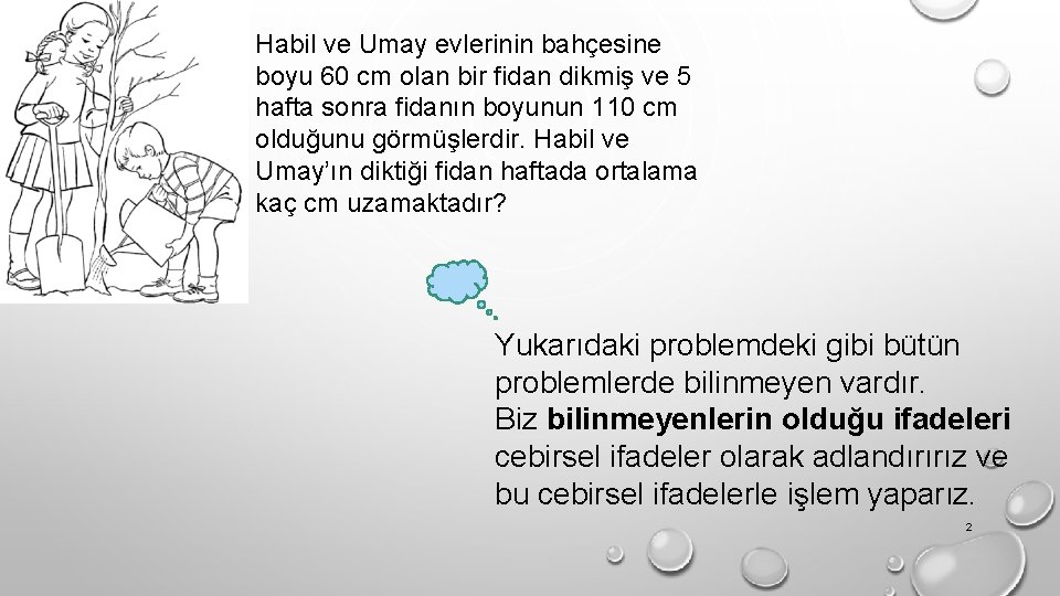Habil ve Umay evlerinin bahçesine boyu 60 cm olan bir fidan dikmiş ve 5
