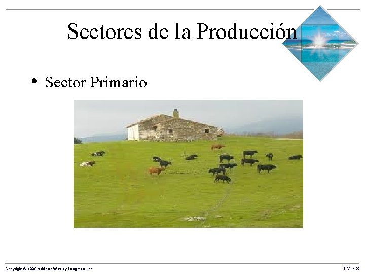 Sectores de la Producción • Sector Primario Copyright © 1998 Addison Wesley Longman, Inc.