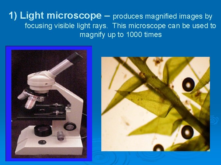 1) Light microscope – produces magnified images by focusing visible light rays. This microscope