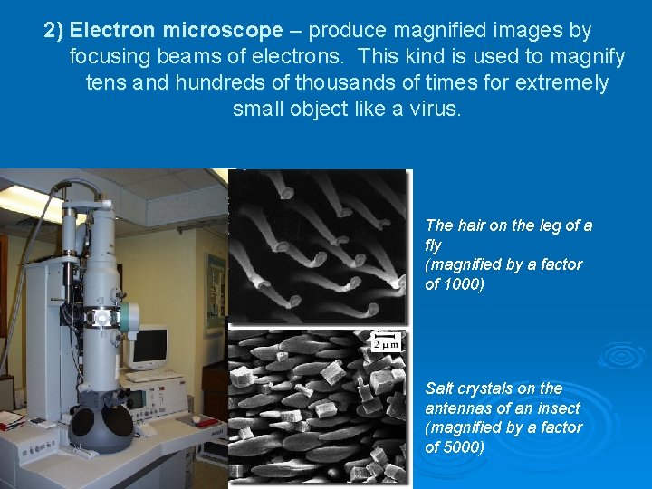 2) Electron microscope – produce magnified images by focusing beams of electrons. This kind