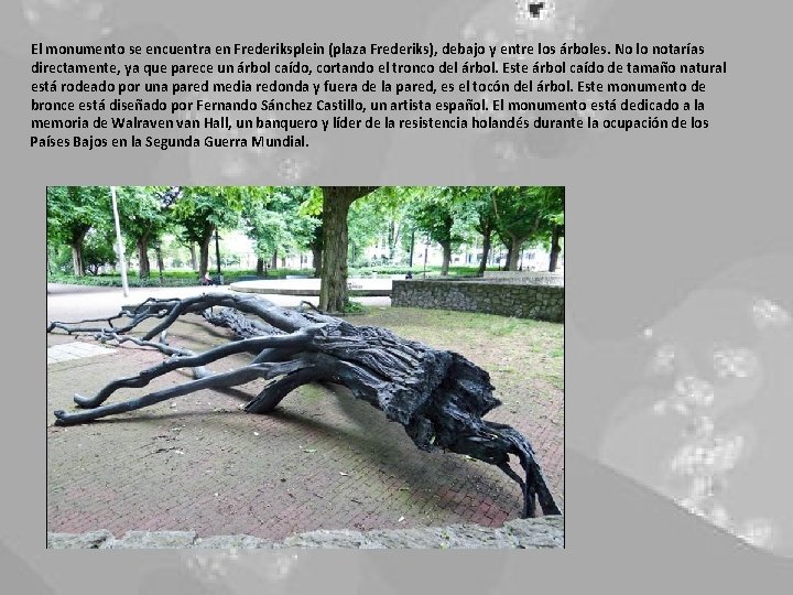 El monumento se encuentra en Frederiksplein (plaza Frederiks), debajo y entre los árboles. No El monumento se encuentra en Frederiksplein (plaza Frederiks), debajo y entre los árboles. No