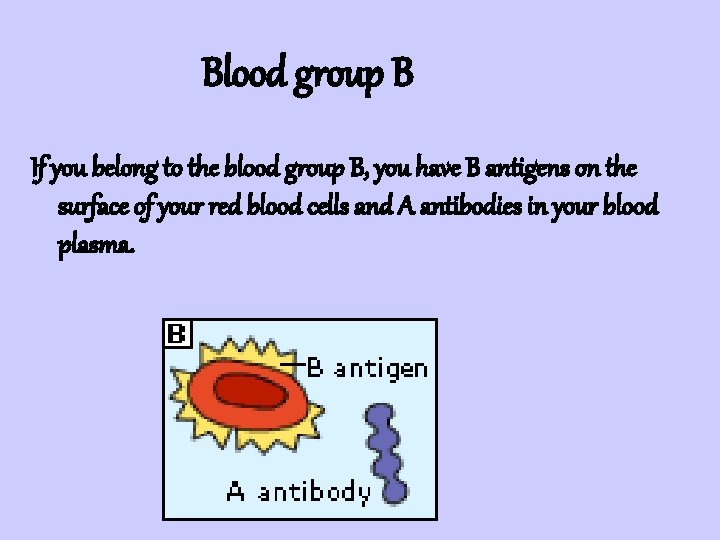 Blood group B If you belong to the blood group B, you have B
