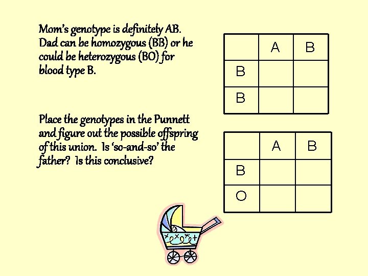 Mom’s genotype is definitely AB. Dad can be homozygous (BB) or he could be