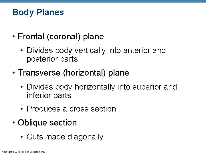 Body Planes • Frontal (coronal) plane • Divides body vertically into anterior and posterior
