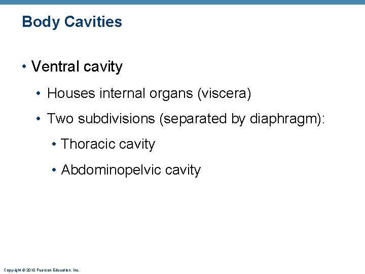 Body Cavities • Ventral cavity • Houses internal organs (viscera) • Two subdivisions (separated