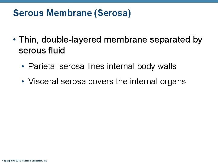 Serous Membrane (Serosa) • Thin, double-layered membrane separated by serous fluid • Parietal serosa