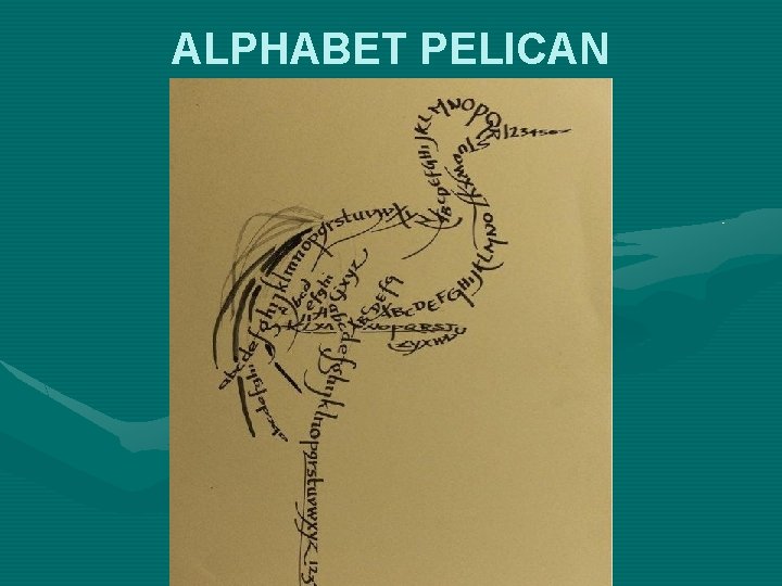 ALPHABET PELICAN 