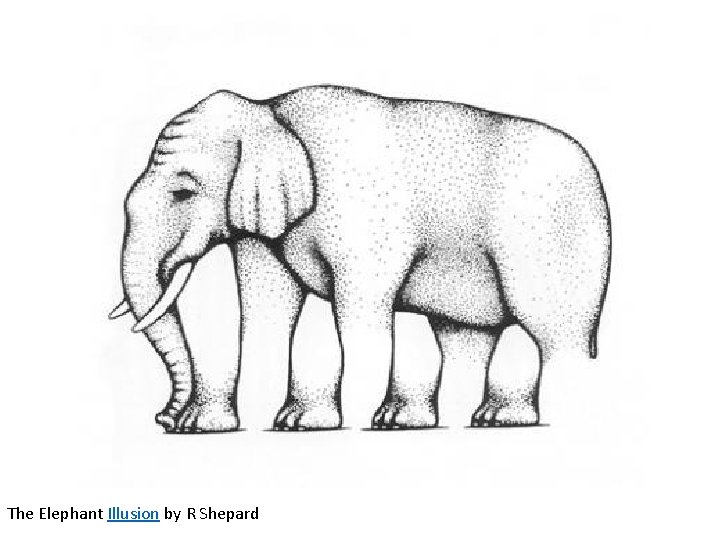 The Elephant Illusion by R Shepard 