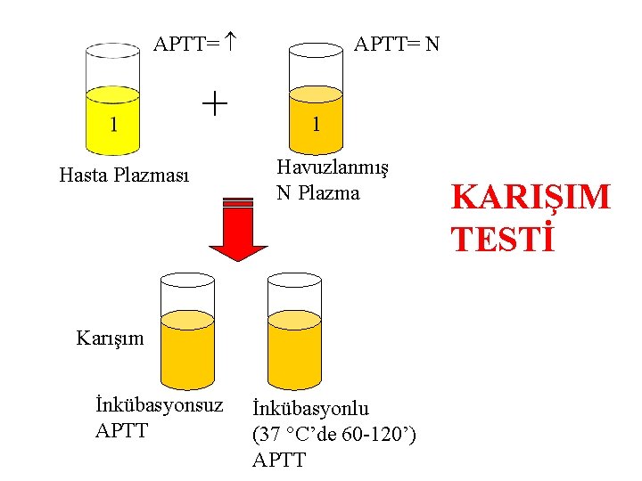 APTT= + Hasta Plazması APTT= N 1 Havuzlanmış N Plazma Karışım İnkübasyonsuz APTT İnkübasyonlu