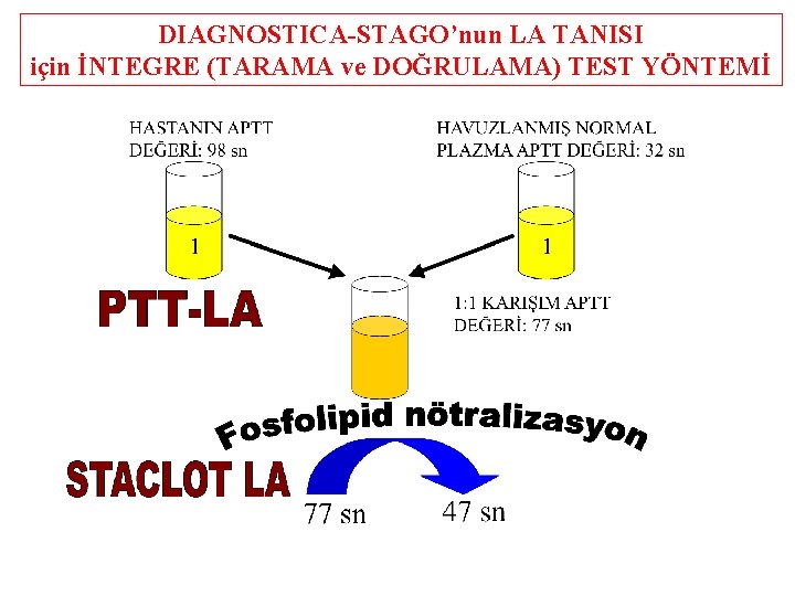 DIAGNOSTICA-STAGO’nun LA TANISI için İNTEGRE (TARAMA ve DOĞRULAMA) TEST YÖNTEMİ 