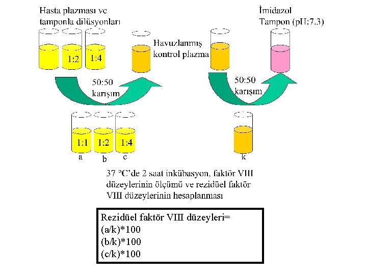 Rezidüel faktör VIII düzeyleri= (a/k)*100 (b/k)*100 (c/k)*100 