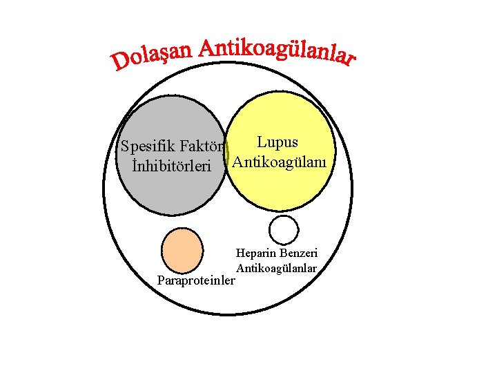 Lupus Spesifik Faktör İnhibitörleri Antikoagülanı Paraproteinler Heparin Benzeri Antikoagülanlar 