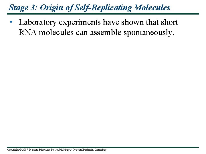 Stage 3: Origin of Self-Replicating Molecules • Laboratory experiments have shown that short RNA