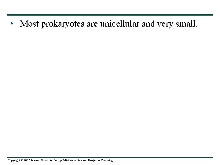  • Most prokaryotes are unicellular and very small. Copyright © 2007 Pearson Education