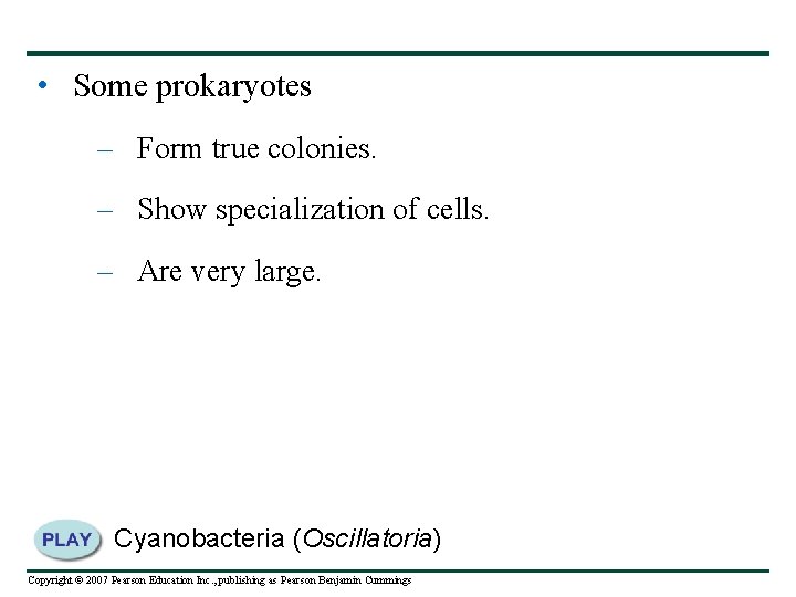  • Some prokaryotes – Form true colonies. – Show specialization of cells. –