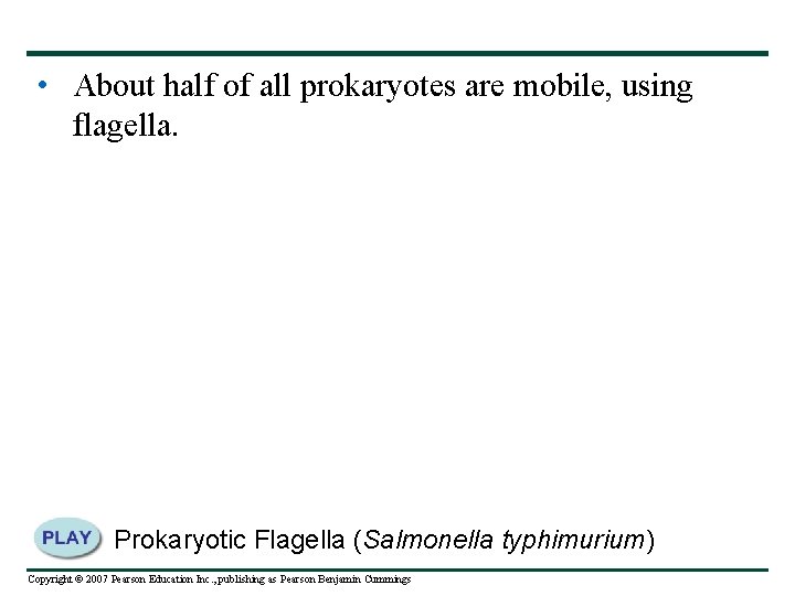  • About half of all prokaryotes are mobile, using flagella. Prokaryotic Flagella (Salmonella