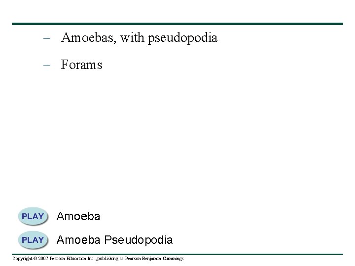 – Amoebas, with pseudopodia – Forams Amoeba Pseudopodia Copyright © 2007 Pearson Education Inc.