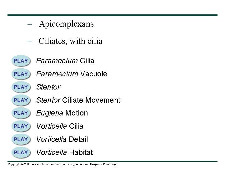 – Apicomplexans – Ciliates, with cilia Paramecium Cilia Paramecium Vacuole Stentor Ciliate Movement Euglena