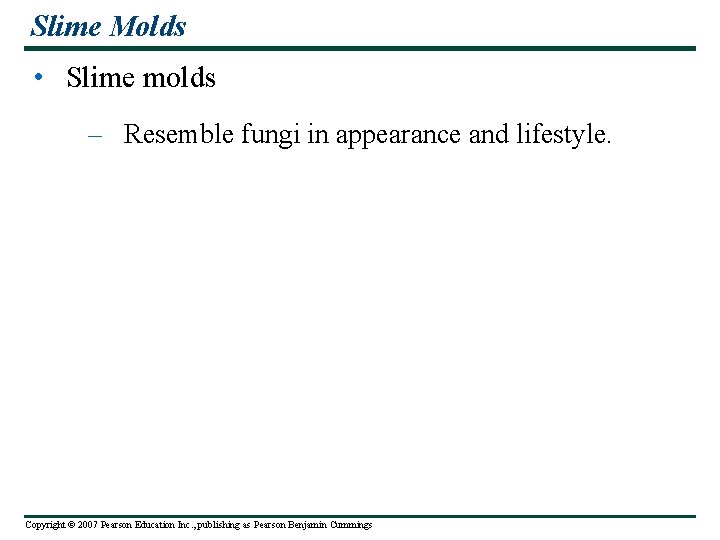 Slime Molds • Slime molds – Resemble fungi in appearance and lifestyle. Copyright ©